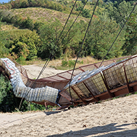 Phoenix rising  logo 