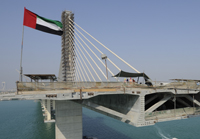 Alternative vision logo 