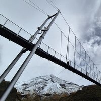 New Zealand celebrates completion of suspension bridge logo 